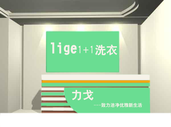 力戈1+1洗衣