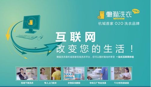 懒猫洗衣