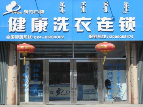 东方白鸽洗衣