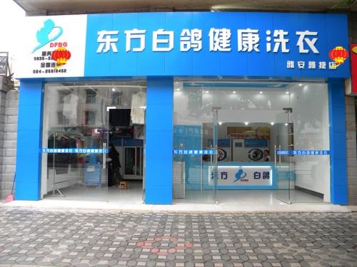 东方白鸽洗衣
