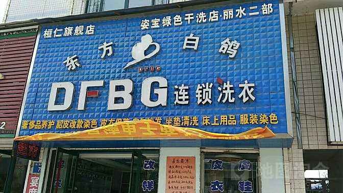 东方白鸽洗衣