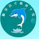 妮莎