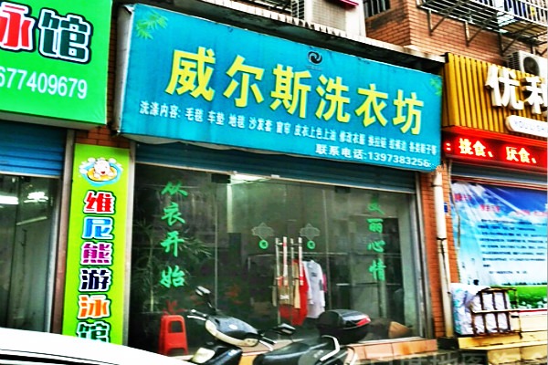 威尔斯洗衣