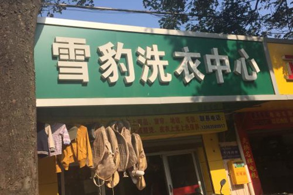 雪豹洗衣