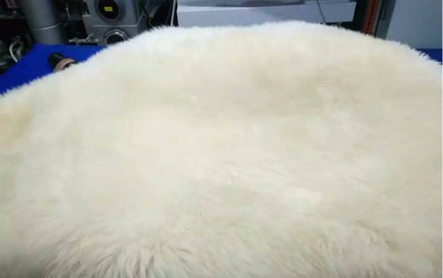 龙筑洗衣