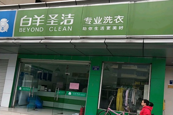 白羊圣洁洗衣