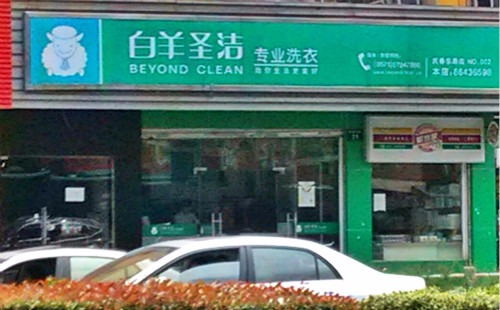 白羊圣洁洗衣