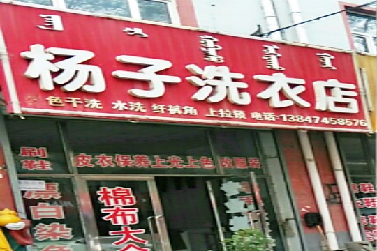 杨子洗衣