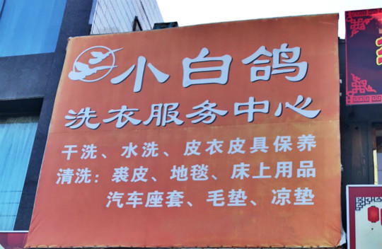 小白鸽干洗