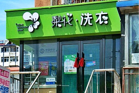 梨花洗衣