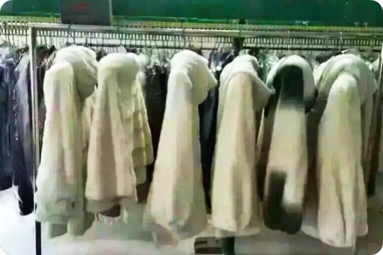 布兰奇国际洗衣连锁店