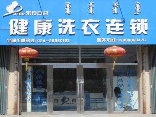 东方白鸽洗衣