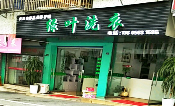 绿叶洗衣