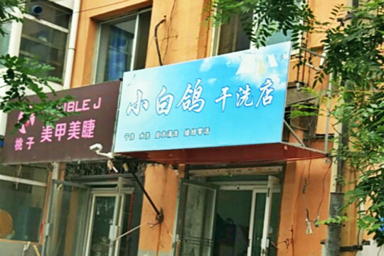 小白鸽干洗