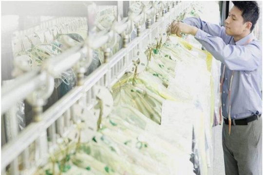 洗衣中心Laundry加盟