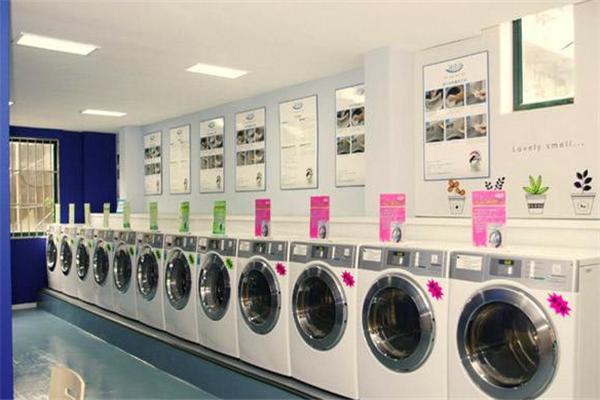 【日升干洗店加盟】电话联系方式,总部地址在哪,官网
