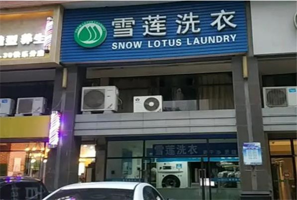 雪莲洗衣