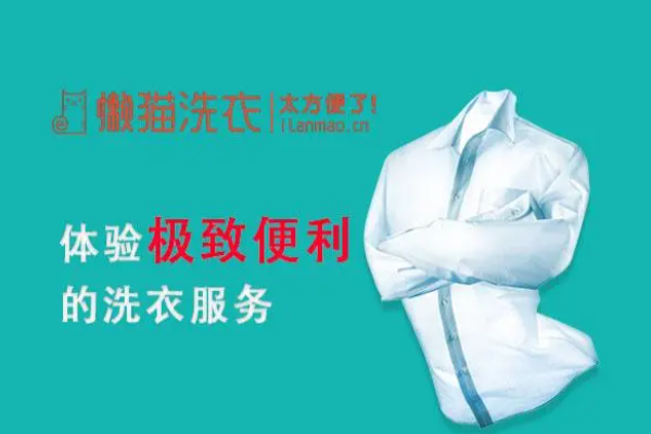 懒猫洗衣