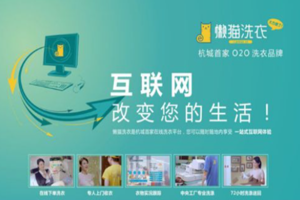 懒猫洗衣