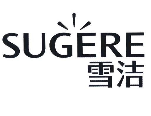 雪洁洗衣
