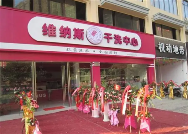 维纳斯洗衣店