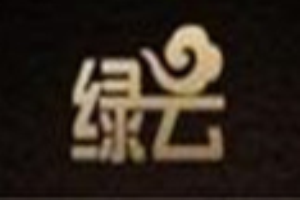 绿云皮革护理
