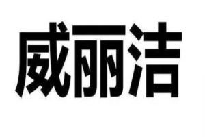 威丽洁皮具护理