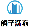 鸽子洗衣
