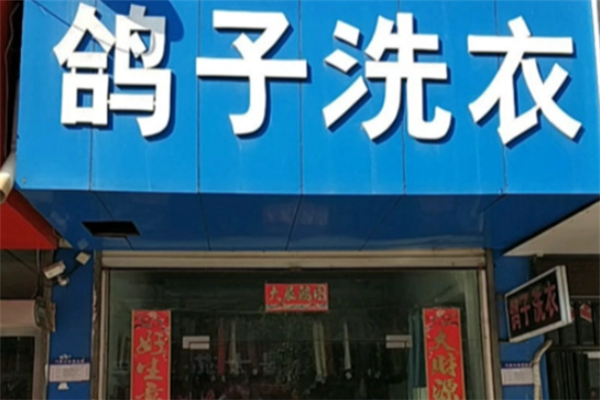 加盟鸽子洗衣的成功案例剖析，让你少走弯路