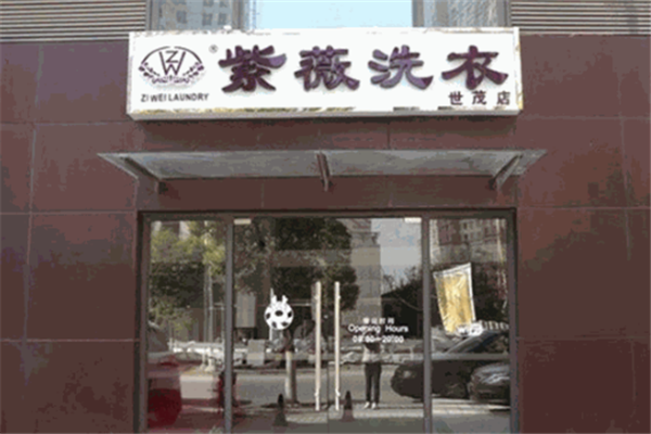 开紫薇洗衣店，轻松实现财富增长的赚钱秘诀