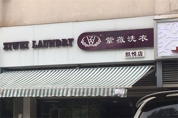 紫薇洗衣店一年的收益潜力：从零到成功的致富之路