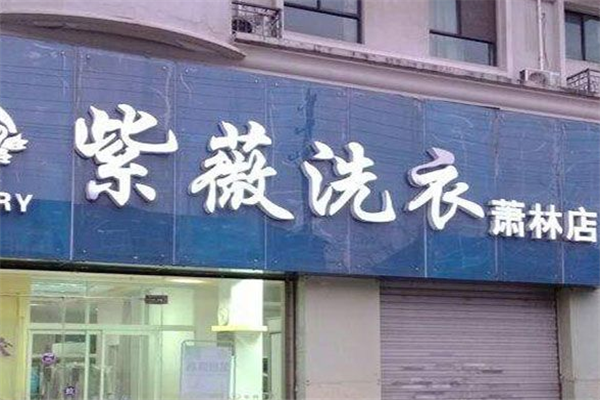 紫薇洗衣店的利润空间分析：揭示赚钱的关键因素
