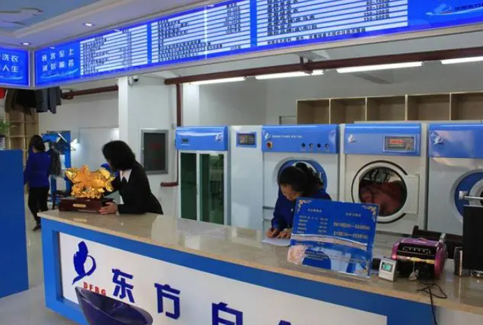 东方白鸽洗衣