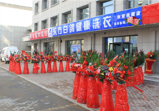 东方白鸽洗衣