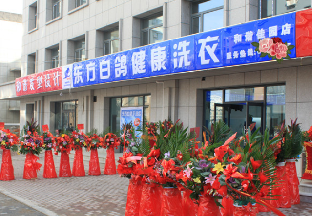 东方白鸽洗衣