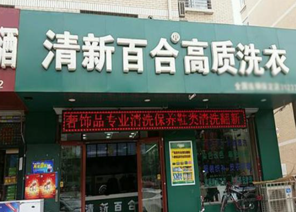清新百合生态洗衣