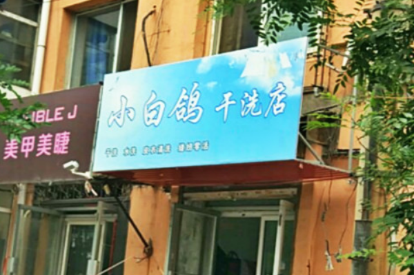 小白鸽干洗