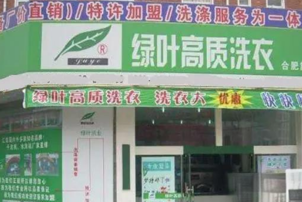 绿叶洗衣加盟费多少