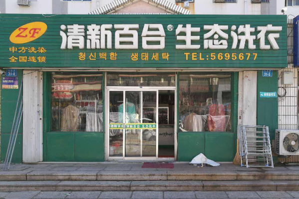 清新百合生态洗衣