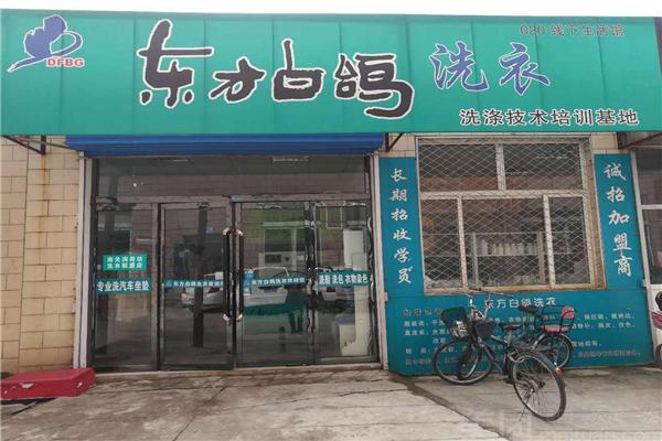 东方白鸽洗衣加盟，创业无忧，开店致富不是梦