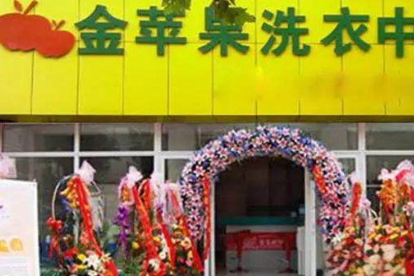 金苹果洗衣加盟费多少钱