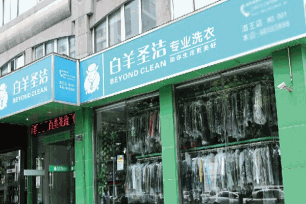白羊圣洁洗衣