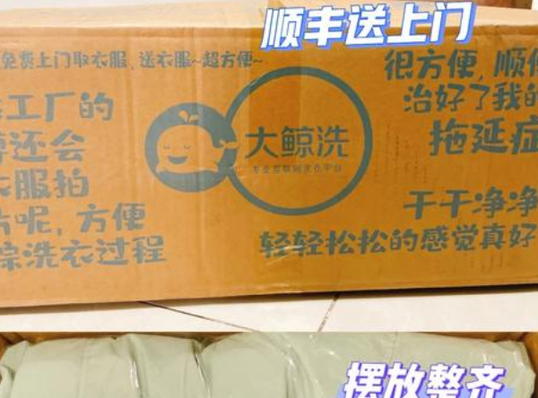 大鲸洗