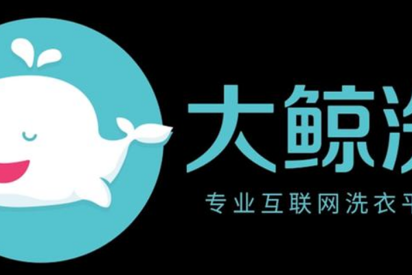 大鲸洗加盟：投资成本与一年盈利能力全面解析
