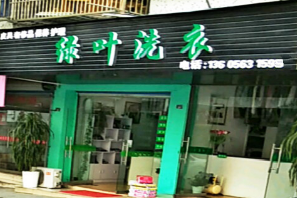 如何通过绿叶干洗店加盟实现高收益?设备与成本解析