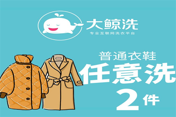 如何通过大鲸洗加盟实现开店赚钱?设备与投资全解析