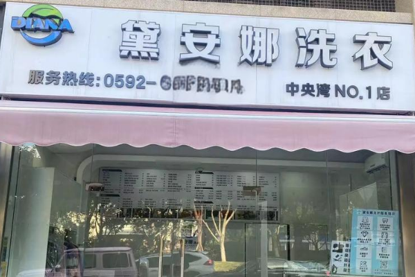 黛安娜洗衣