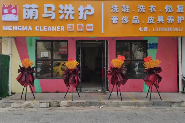 创业新选择，萌马洗护加盟成功开店指南