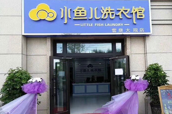 小鱼儿洗衣馆加盟赚钱是真的吗？盈利解析，实现财务自由
