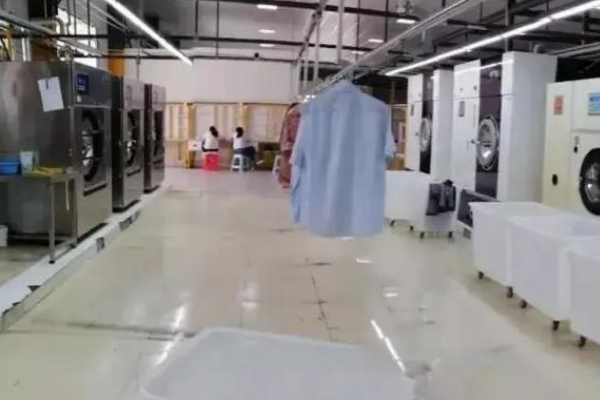 云闪兔智能洗护馆